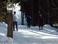 Nonmotorized Snow Trail Activities