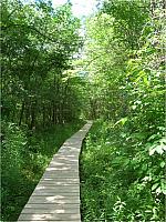 Construction - Boardwalk