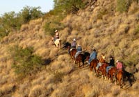 Photo of horses on desert hillside trail