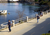 Photo of paved trail by bay