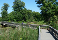 photo of boardwalk with trees and swamp