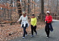 Photo of walkers on wide trail in trees