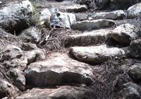 Photo stone steps on a trail