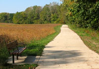 Photo of paved trail between woods and wheat field