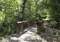 Photo of wood trail bridge in forest