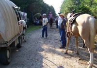 Horses and chuck wagon on dirt trail
