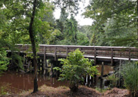 Photo of wood bridge