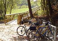 Photo of bike racks and wood bridge