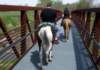 Photo of horses crossing steel bridge