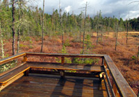 Photo of wood deck overlooking meadow