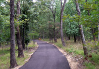 Photo of asphalt trail through small oak trees