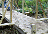 Photo of wood trail bridge under construction