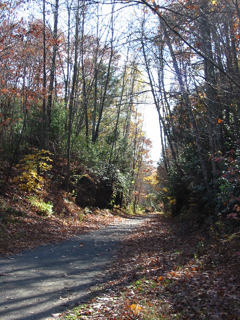 Photo of entrance to trail in wooded area
