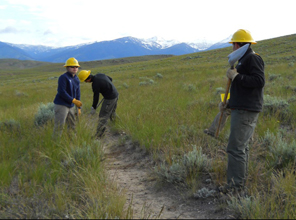 Photo of volunteers with tools on trail