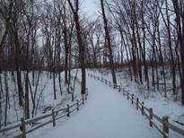 Photo of snow covered trail