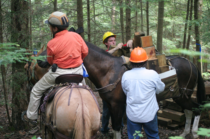 Photo of equestrians on trail