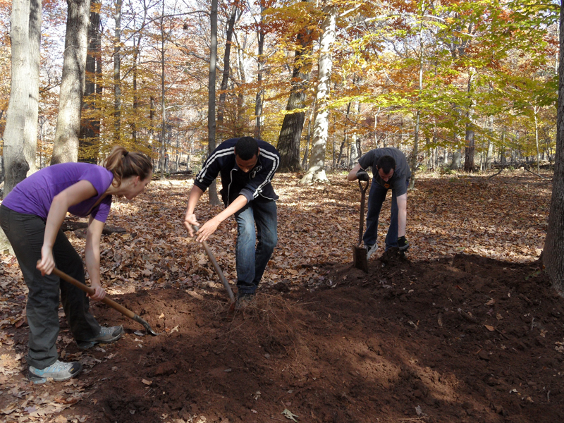 Photo of volunteers using shovels while working on a trail