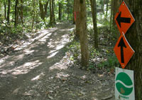 photo of signs on a tree by trail through woods